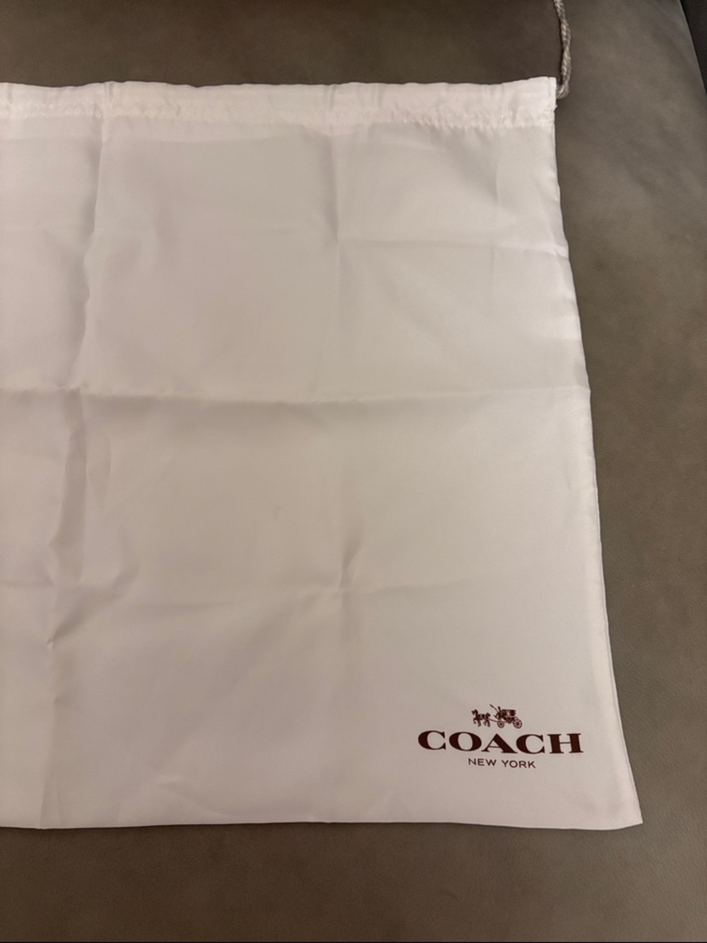 Coach Dust Bag - 19 x 15 inches